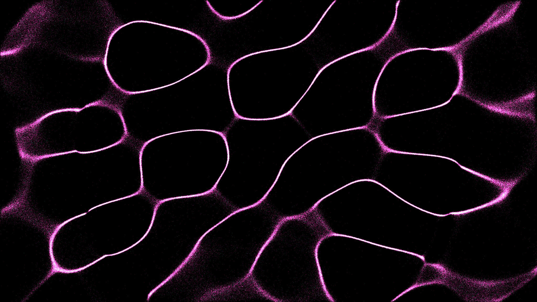 Open Source Observer